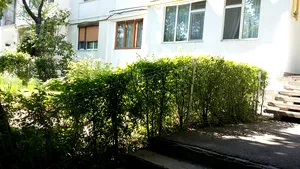 FOTO Asociaţiile de proprietari din Galaţi, somate să plătească gardul viu primit gratuit acum 4 ani