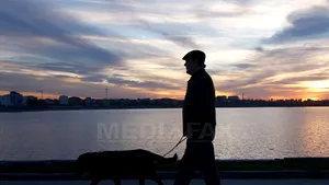 Amenzi de până la 500 de lei pentru posesorii de câini care lasă mizerie pe stradă, în sectorul 6