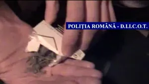 Opt membri ai unei reţele de traficanţi de cannabis, arestaţi în Capitală