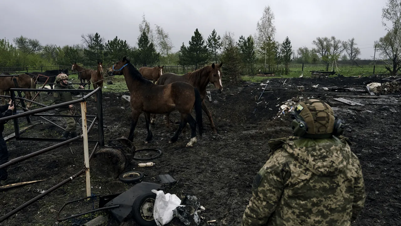 Războiul din Ucraina, ziua 720. UE anunţă că va folosi fonduri ruseşti îngheţate pentru reconstrucţie. Comentariul lui Peskov / Elveţia, refuzată de Moscova ca negociator de pace / Ucraina îşi numără morţii civili şi rezultă cifre de ordinul zecilor de mii