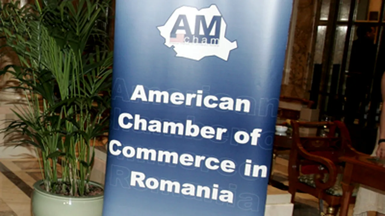 AmCham: Mai multă flexibilitate pentru companii ar fi redus efectele crizei