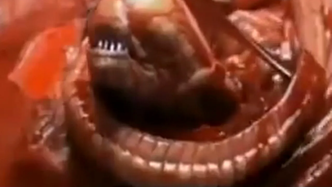 Extraterestrul din 