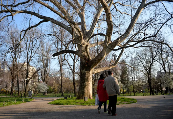 METEO Schimbare majoră în prognoza meteo. Ce temperaturi ne așteaptă în următoarele săptămâni