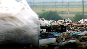 Cadavru tranşat al unei femei, găsit lângă groapa de gunoi