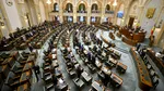 Legea biodiversității a trecut de Parlament. Fosta ordonanță de guvern ajunge pe masa președintelui
