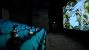 Cinematografele din China se redeschid după 6 luni, iar experienţa va fi complet diferită. Cum se va merge la film