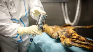 Ötzi, omul ghețurilor, continuă să uimească cercetătorii: ADN-ul său dezvăluie un virus asociat cu cancerul, vechi de mii de ani