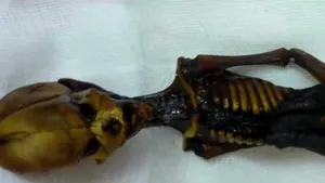 Misterul celebrului ''extraterestru'' Ata a fost desluşit după 13 ani de la descoperirea lui