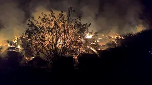 BREAKING: Incendiu puternic la un depozit de furaje din Timiş. Ard baloţi de lucernă şi fân