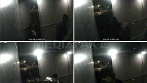 Un german a fost arestat în cazul furtului de tablouri din Olanda