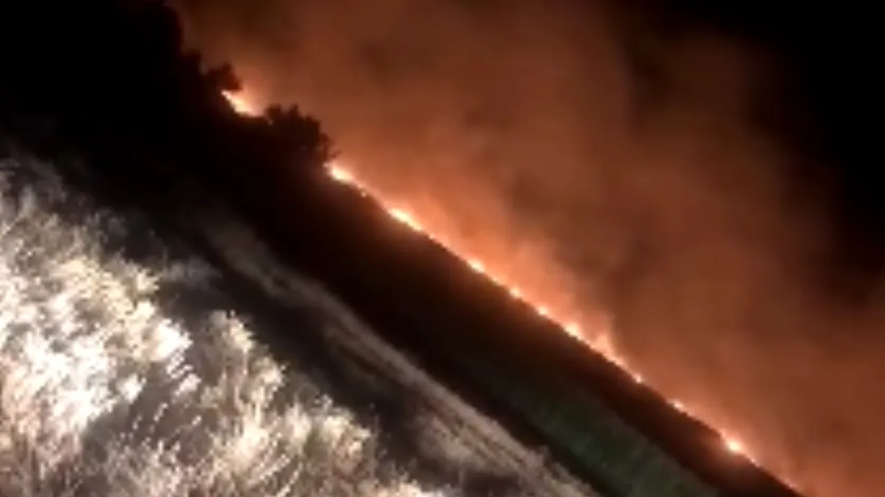 O ţigară aruncată neglijent a produs pagube de 100.000 de lei: Zeci de hectare de grâu au luat foc dimineaţa aceasta. VIDEO
