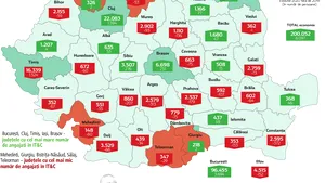 Câţi IT-işti are fiecare judeţ. Cluj şi Timiş la vârf, Mehedinţi şi Giurgiu la coadă