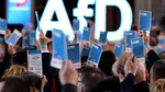 Germania: Partidul de extremă dreapta AfD și-a dizolvat organizația de tineret