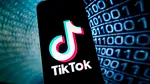Lovitură pentru TikTok. O ţară europeană interzice aplicaţia chineză / Şi în România au fost voci care au cerut suspendarea TikTok în urma alegerilor prezidenţiale