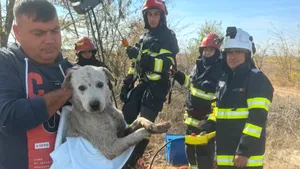 Câine din Dolj, salvat dintr-o fântână de 10 metri