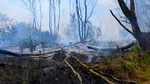 Incendiu izbucnit în zona localității Chilia. Pompierii intervin pentru stingerea lui
