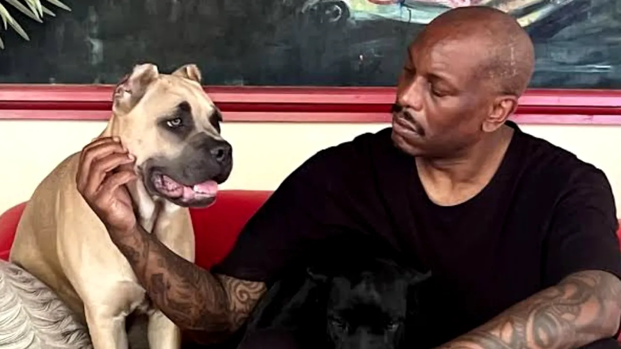 Vedeta din „Fast and Furious”, Tyrese Gibson, cautată de poliție. Câinii săi ar fi ucis animalul de companie al unui vecin