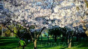 Vremea va fi frumoasă şi se va încălzi în toată ţara. PROGNOZA METEO pentru weekend