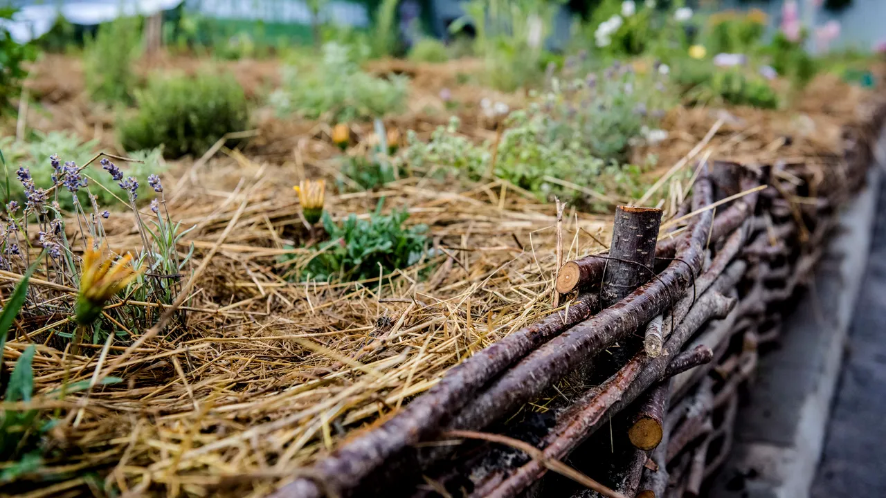 Livada de pe acoperiş. Unul dintre cele mai mari lanţuri de hipermarketuri din România investeşte 300.000 de euro în nouă GRĂDINI URBANE, în Bucureşti