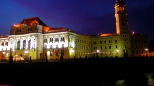 Fitch Ratings a retras ratingurile Zonei Metropolitane Oradea