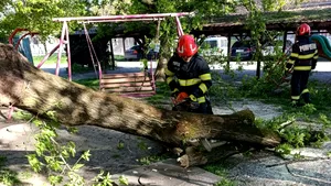 IGSU: Un mort și trei răniți. Vântul puternic de duminică a afectat 72 de localități din țară