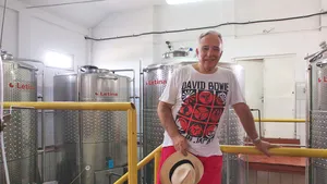 FOTO | Cum arată crama guvernatorului BNR. Casa Isărescu se întinde pe 40 de hectare şi are o producţie de 150.000 de sticle pe an