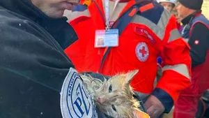 LIVE TEXT  Războiul din Ucraina, ziua 236. Mai multe explozii în centrul Kievului, atacat cu drone kamikaze: cel puţin trei morţi şi mai mulţi răniţi / Schimb masiv de prizonieri / Elon Musk sperie lumea: Rusia poate folosi forţa nucleară / S-a prăbuşit un avion Su-34 rusesc / Iran este noul rival comun al aliaţilor
