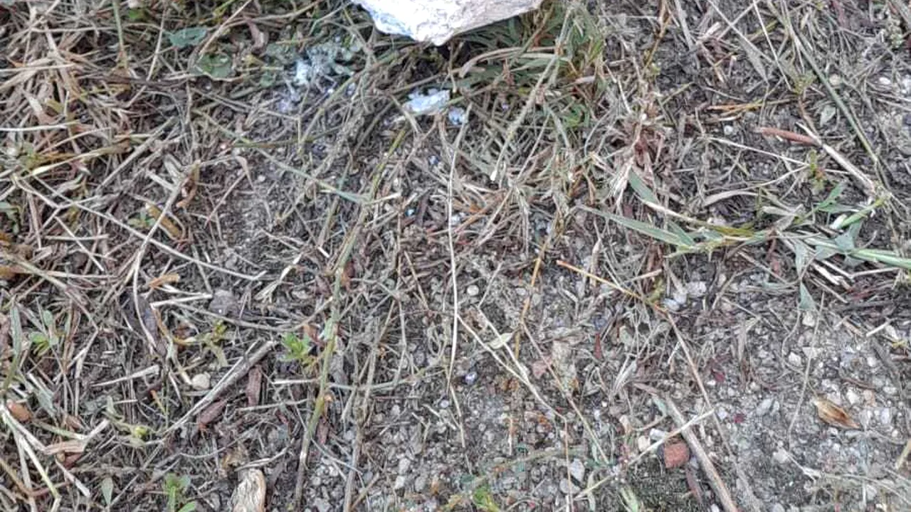Proiectil cu încărcătură explozivă, descoperit la Aeroportul Oradea
