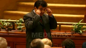 PDL a redepus la Camera Deputaţilor moţiunea simplă privind deszăpezirea