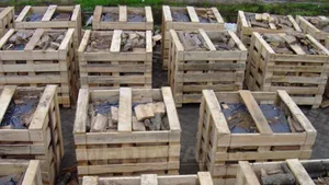 Câmpeanu: Ajutoarele pentru încălzirea cu lemne vor fi acordate o singură dată, pentru toată iarna