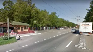 Suspiciune de pestă porcină la Zoo Brăila. Câte animale au murit până acum