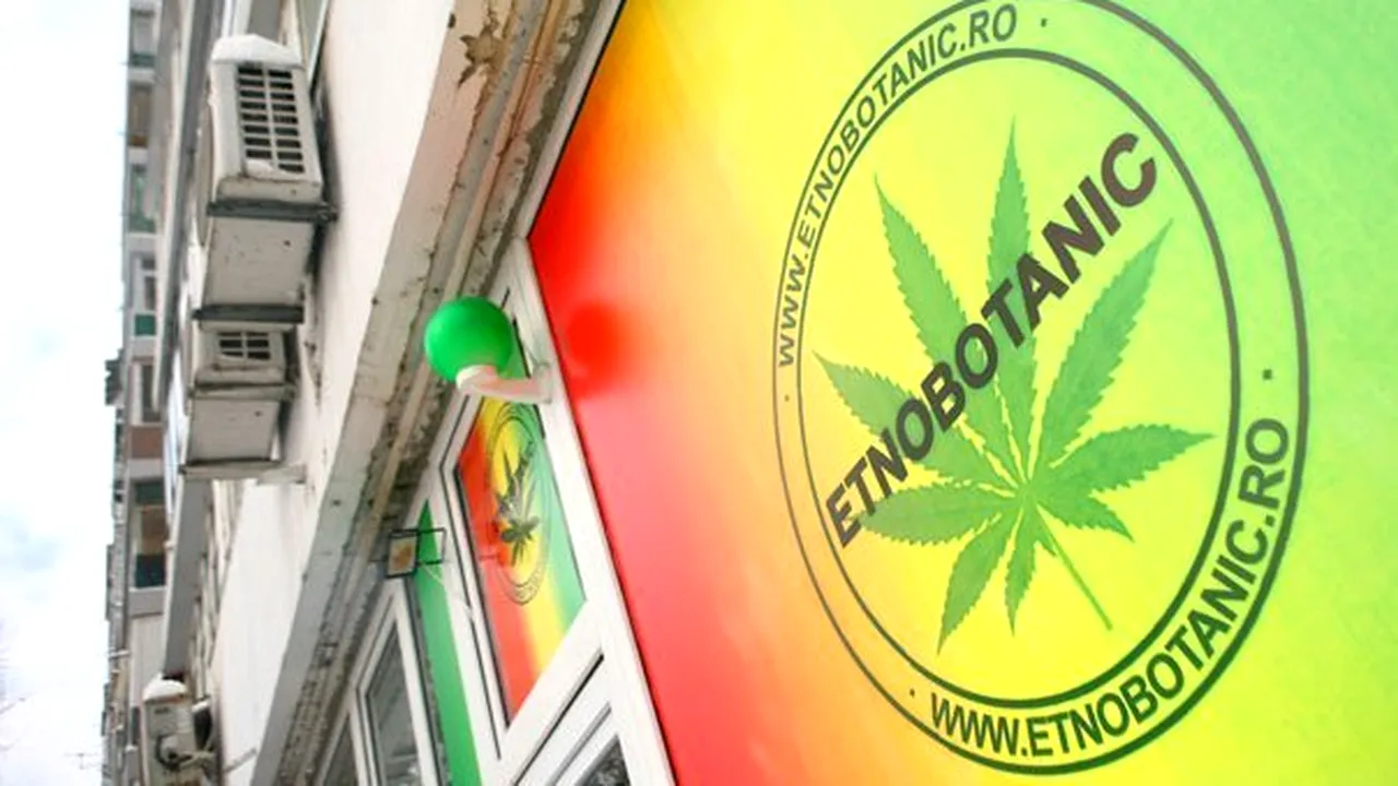 Autorităţile vor prezenta miercuri în Guvern un proiect privind interzicerea etnobotanicelor