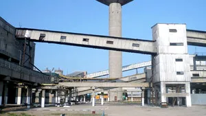Romanian Amonil Halts Prod, Lays Off 80% Of Employees