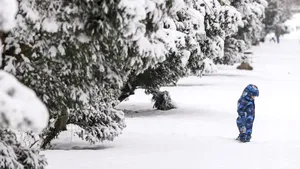 Efectele Codului portocaliu: Trafic restricționat, avarii la rețeaua electrică și zboruri afectate