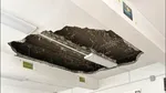 Imagini revoltătoare la Colegiul „Mihail Sturza” din Iași / Tavan prăbușit într-o sală de clasă