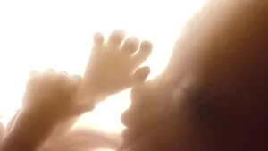 Un bebeluş s-a născut dintr-un embrion îngheţat de 28 de ani. Embrionul a fost îngheţat în octombrie 1992