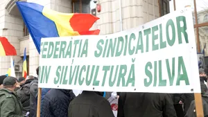Sindicatele din silvicultură contestă reorganizarea Romsilva. Federația SILVA a sesizat CSAT