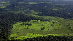 Cupa Mondială din Brazilia se va disputa în 12 oraşe