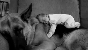 IMAGINI AMUZANTE: Cum dorm bebeluşii alături de câini - GALERIE FOTO