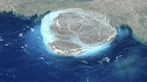 După mai bine de 30 de ore, focarul incendiului din Insulele Canare a fost izolat. Mesajul oficialilor | VIDEO 