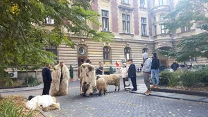 Mai mulţi ciobani pichetează Ministerul Agriculturii/ Daea: Solicitarea oierilor nu poate fi îndeplinită | FOTO, VIDEO