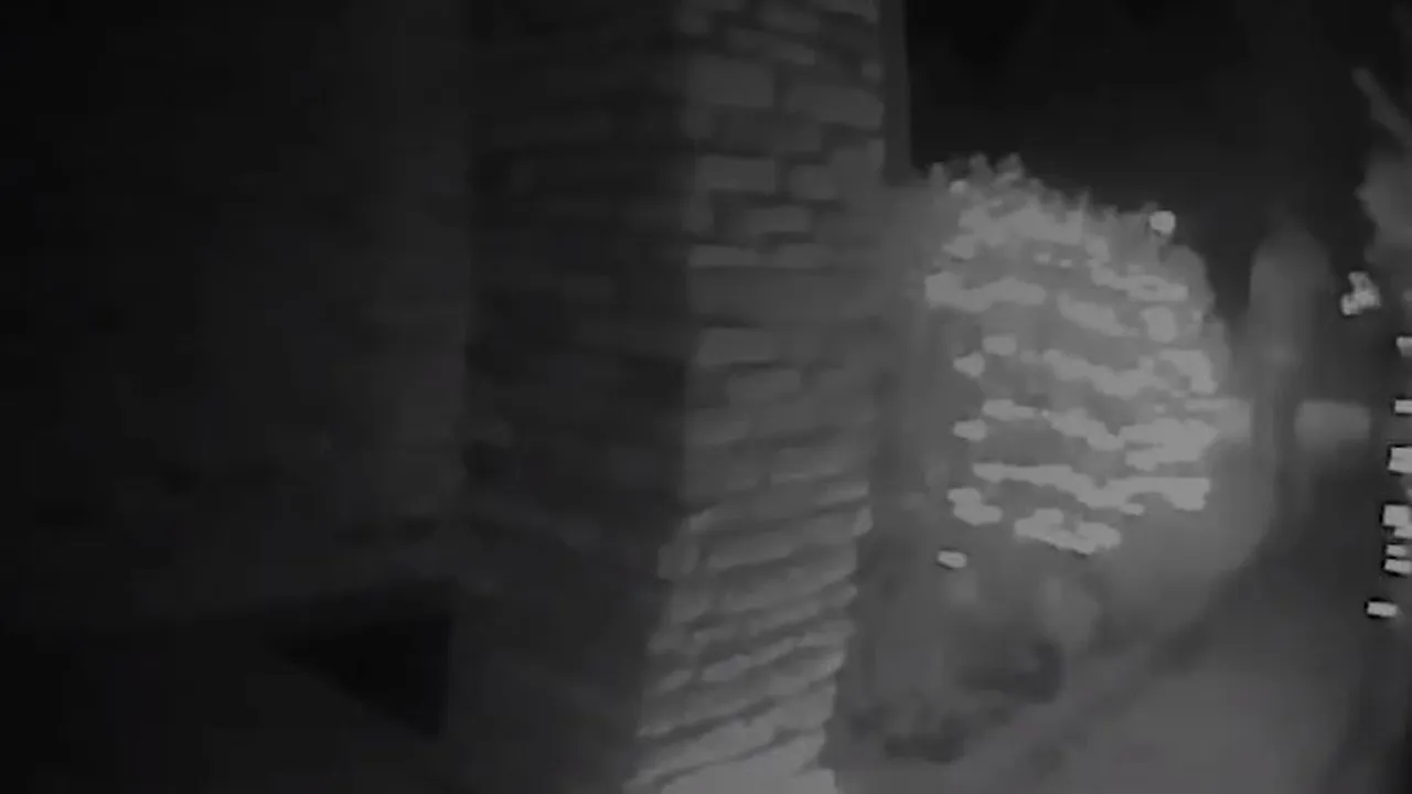 „Răpire extraterestră”, surprinsă de o cameră de supraveghere | VIDEO