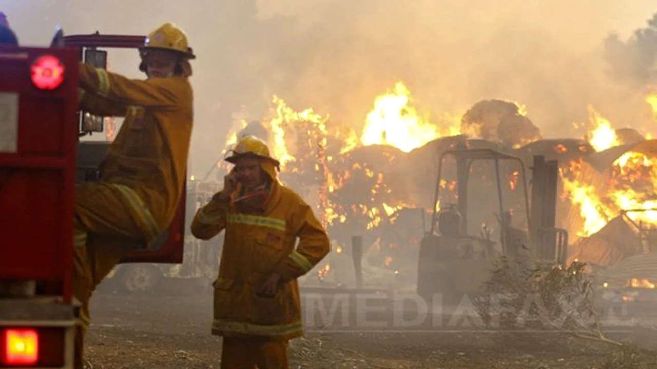 Incendii de vegetaţie de proporţii în Chile: Cel puţin nouă morţi
