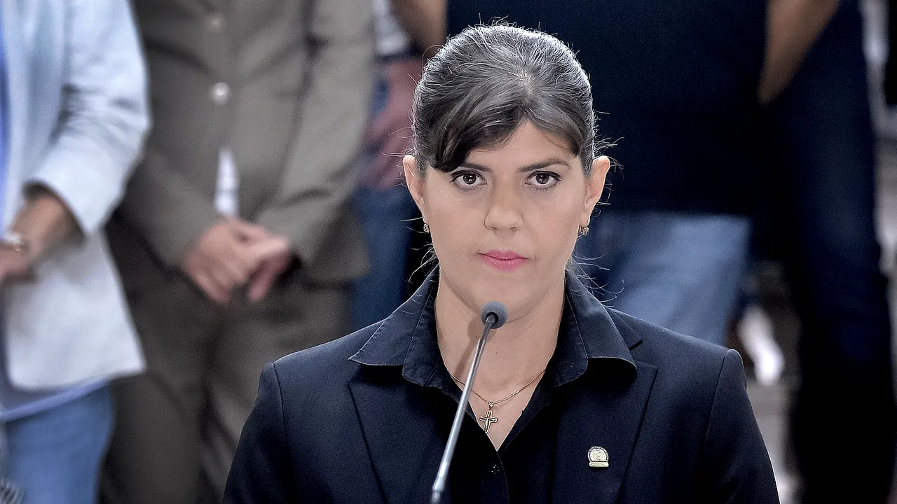 Comisia LIBE, 