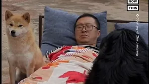 Dimineţile sunt o corvoadă pentru cei nematinali. Un bărbat vine cu o soluţie revoluţionară VIDEO