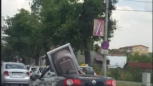 Cadă transportată într-o maşină decapotabilă, la Timişoara
