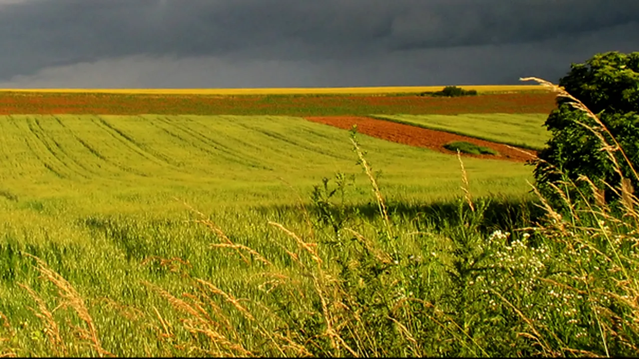 Gospodarii şi agricultorii care dau foc miriştilor riscă amenzi de 3.000 până la 50.000 de lei