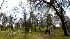 Prognoza pe următoarele patru săptămâni: Vremea se încălzeşte din martie