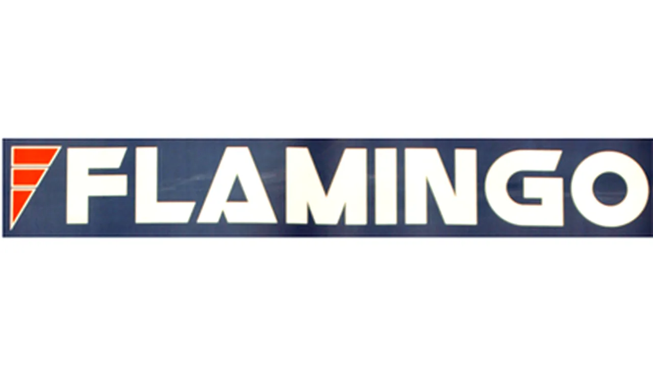 Bucharest Court Admits IT Retailer Flamingo's Bankruptcy Request