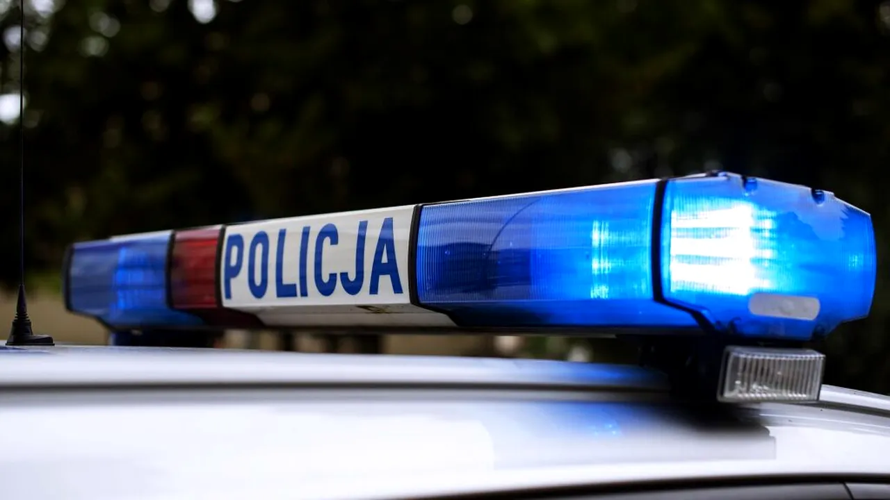 O femeie care a încercat să ajute un animal rănit pe un pod rutier a fost atacată de un bărbat gol